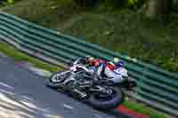 cadwell-no-limits-trackday;cadwell-park;cadwell-park-photographs;cadwell-trackday-photographs;enduro-digital-images;event-digital-images;eventdigitalimages;no-limits-trackdays;peter-wileman-photography;racing-digital-images;trackday-digital-images;trackday-photos